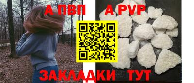 прущие грибы Новодвинск