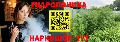 прущие грибы Новодвинск