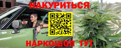 прущие грибы Новодвинск